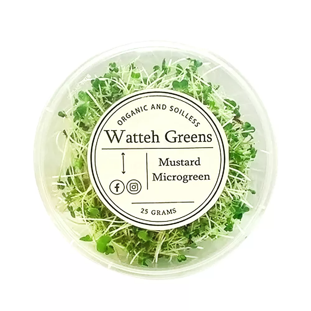 Watteh Greens Mustard Microgreen
